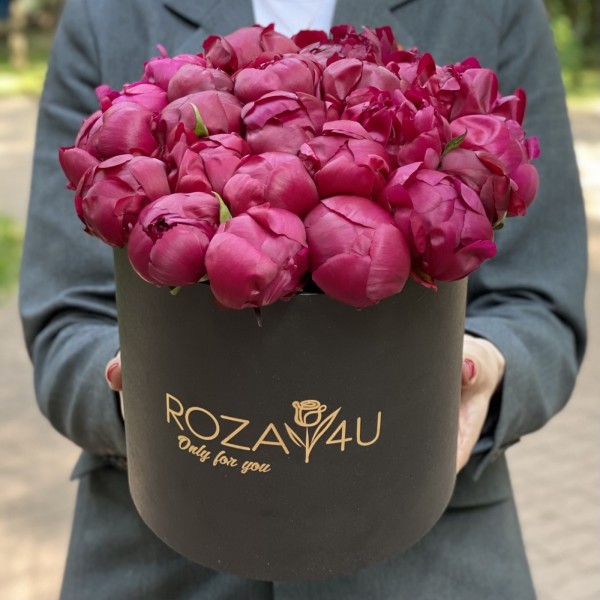 25 пионов Канзас в коробке